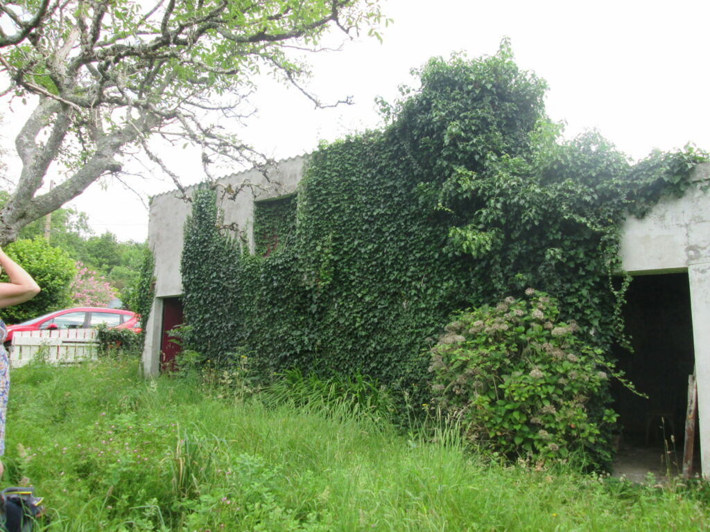 architecte-prevost-perpignan-66-pyreenes-orientales-constructions-contemporaines-eco-renovation-bioclimatique-japonais