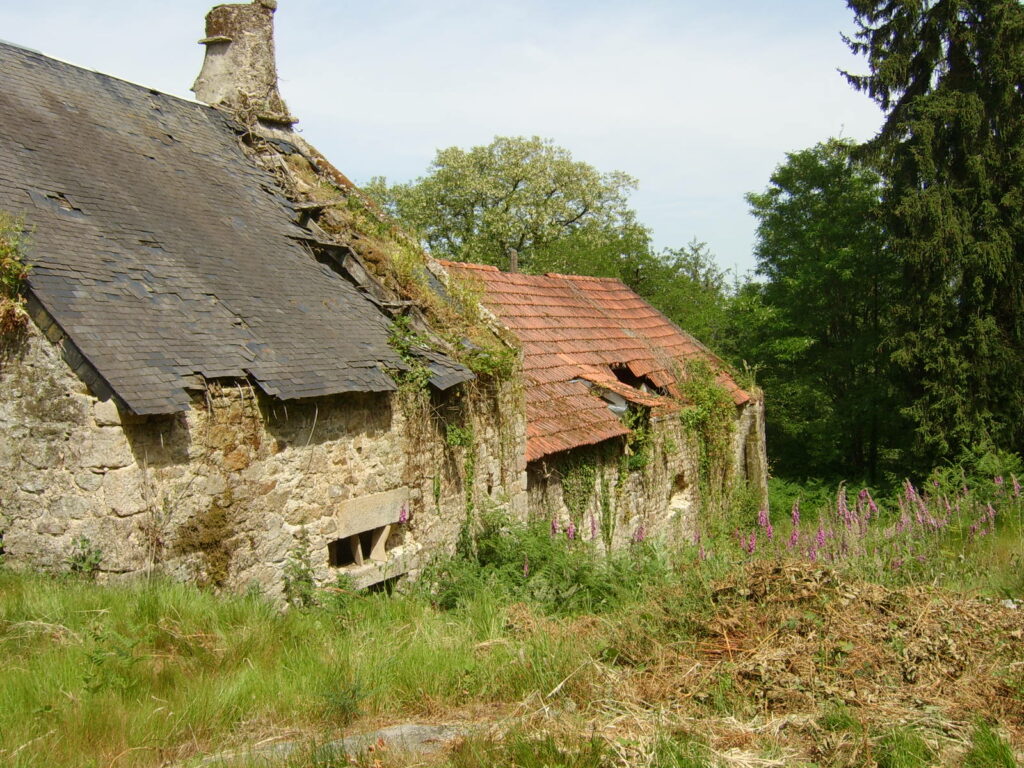 architecte-prevost-perpignan-66-pyreenes-orientales-constructions-contemporaines-eco-renovation-bioclimatique-japonais